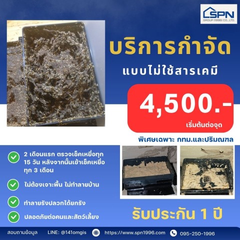 บริการกำจัดปลวกไม่ใช้สารเคมี